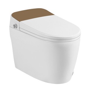 liqun automatic sensor flushing electric one piece tankless intelligent smart toilets toilets