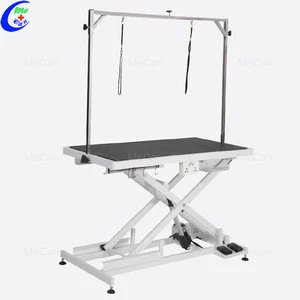 Low-Low Electric Lifting Table