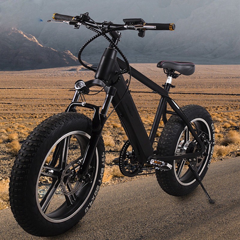 Magnesium Wheel Alloy Fat Ebike with 20&quot; *4.0 Tires 48V 10ah Lithium Battery