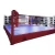 Import Martial arts equipment MMA Sanda used Mini size Floor Boxing Ring for kids training from China