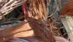 Metal Scrap