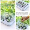 Mini greenhouse kits propagation growing seed tray plastic grow seeds microgreen hydroponic trays