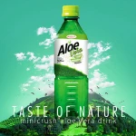 Modern Desgin Canned Aloe Vera Juice Soft Drink OEM Factory