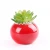 Import modern simple Colorful ceramic flowerpot with artificial green planter ceramic colorful flower pots & planters for home decor from China