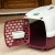 Import Modern Travel airline Outdoor Indoor Dog Cat Plastic little Animal Pet Cages Carriers from China