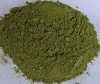 Moringa powder for medicine
