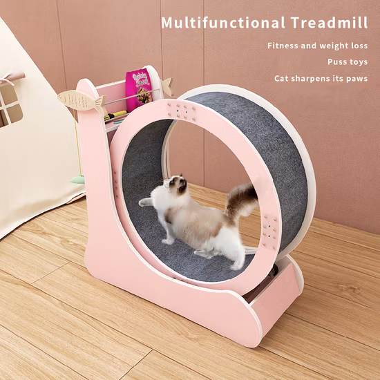 Multi Functional Cat Paw Grinding Toy Exercise Snail Dog Treadmill Cat Wheel Treadmill Pet Treadmill for Cat
