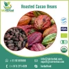 Natural High Quality Cocoa Plant Extracted Roasted Cacao Beans