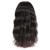 Import Natural Virgin Brazilian Hair Wig for Black Women 360 Lace Human Hair Wig from China