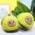 Import New Arrival Warm Indoor Cute Avocado Plush Slipper Toy Cartoon Fruit Slippers from China