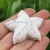 New arrivals hand carved Folk Crafts natural quartz crystal white howlite starfish for home decoration