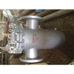 New Basket Strainer Stainless Steel Basket Filter