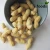 Import New Crop Chinese Raw Peanuts Inshell from China