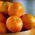 Import New crop fresh mandarin orange with good quality and cheaper price from China