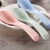 Import New product Wheat Straw Plastic Micro Matcha Sugar Spoon from China
