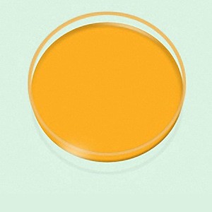 Orange yellow food colorant fruit food colour