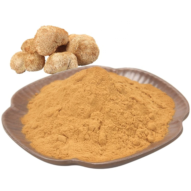 organic dried lion &#x27; s mane mushroom 10 : 1 hericium erinaceus extract powder