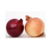 Organic Lowest Natural Price Fresh Organic Red Onion