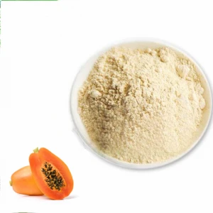 papaya extract powder papaya leaf extract powder papaya seed extract powder