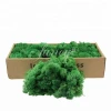 Perfect Home Accessories Decoration Home Decor  Moss  Wall Decoration Preserved Stabilized Reindeer Moss