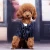 Import Pet Dog Cat Clothes Prince Wedding Suit Tuxedo Bow Tie Puppy Coat from China