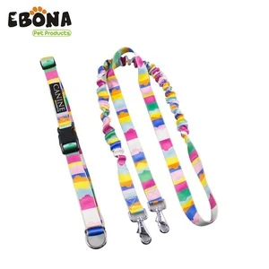 Pet Products 4ft Latest Fashion DesignedBest Quality Dog Lead Luxury Pet Leash and Collar Set