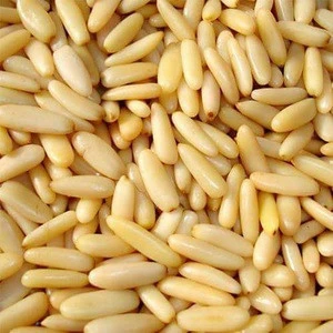 Pine Nut Kernels/White Pine Nuts