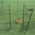 Import Plastic net used for chicken poultry protection fence netting chicken netting fence from Hong Kong