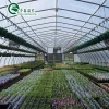 plastic single arch greenhouse for sale