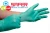 Import powder free nitrile gloves from Malaysia