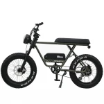 Powerful Ebike 11.6Ah/17.5Ah Lithium Battery 1500w Fat Tire Electric Bike