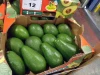 Premium Quality Fresh Fuerte/Hass Avocados for sale