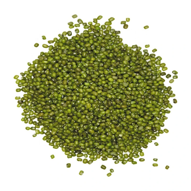 Prime Quality Chinese Green Mung Beans for Sprouting