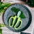 Import Professional Garden Plant Scissors Pruning Soft Grip Household Shears from China