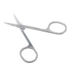Professional Silver Stainless Steel Beauty Tool Mini Makeup Scissors