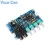 Import PT2399 Digital Microphone Amplifier Board Karaoke Reverberation Board Karaoke OK Amplifier Module Dual AC12V Electronic DIY PCB from China