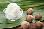 Pure Organic Shea Butter Body Lotion Adults Lotion Organic Bulk Lotion Butter for Dry Skin Wholesale Food, Cosmetics