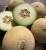 Import Quality Galia Melon from South Africa
