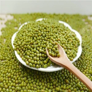 Quality Green Mung Beans/ Kidney Beans
