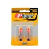 R03P 2 Pcs in 1 Blister Card Y Player 35 Mins Zinc Carbon AAA Zinc Dry Batteries for Remote Control UM-4 1.5V
