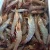 Import Raw Vannamei White Shrimp / Frozen Shrimps !!! from United Kingdom