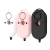 Import Rechargeable 140db Personal Alarm Keychain Rape Attack Panic Classic Ladybug Personal Alarm with Led Light from China