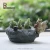 Import ROOGO Resin stone style with artificial dish garden flower plant pots decoration from China