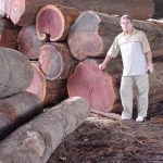 Rosewood logs