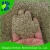 Saline-Alkaline Tolerance Ryegrass Seeds For Quick Growing Short Season Forage