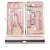 Import Salon pedicure and manicure 18 pcs nail clipper set kit from China