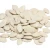 Import Salted Pumpkin seeds white from China