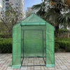 Sample Available Easily Assembled 3 Tier PE Cover Mini Plant Indoor Walk-in Greenhouses