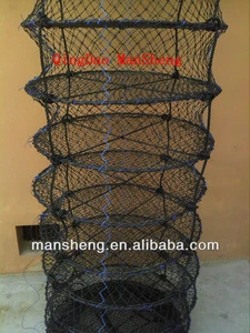 scallop aquaculture traps