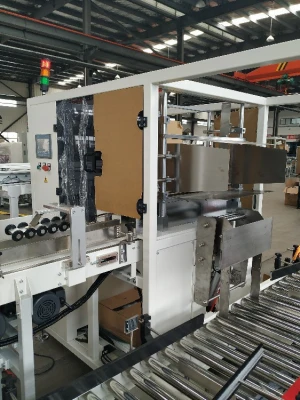 Shanghai Automatic Box Packaging Machine in Packing Line